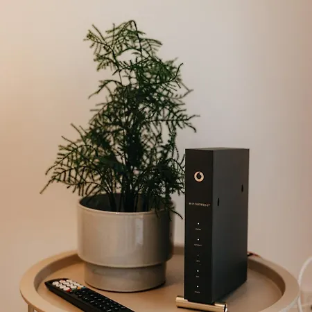 Lägenhet Charmante Mit Garten Im Briller Viertel