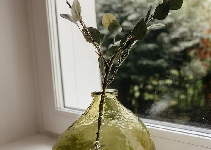 Charmante Mit Garten Im Briller Viertel *