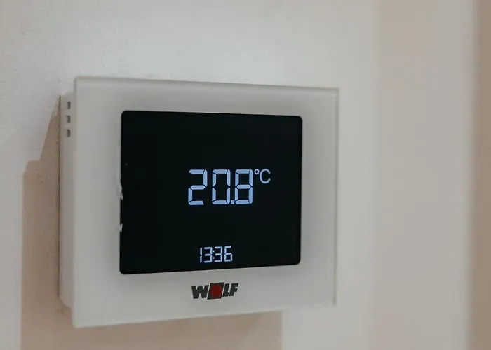 Charmante Mit Garten Im Briller Viertel Appartement