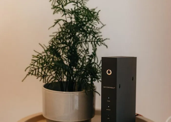 Appartement Charmante Mit Garten Im Briller Viertel