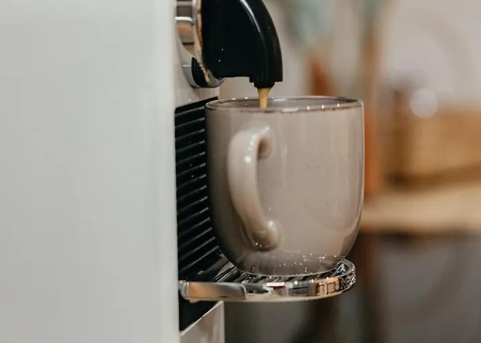 Charmante Mit Garten Im Briller Viertel Wuppertal