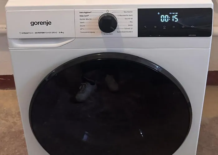 Charmante Mit Garten Im Briller Viertel Appartement